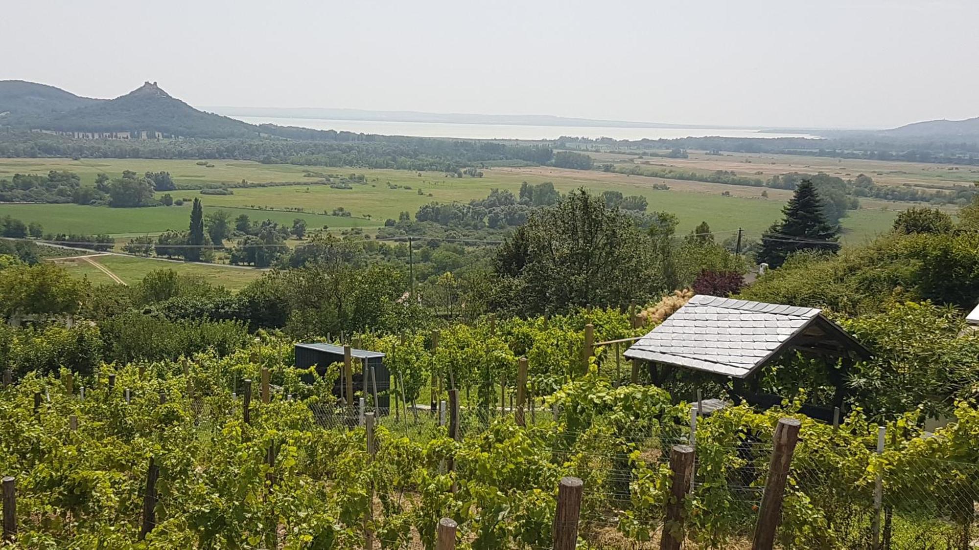 Вилла Grand Cru 4 Vendeghaz Hegymagas Экстерьер фото